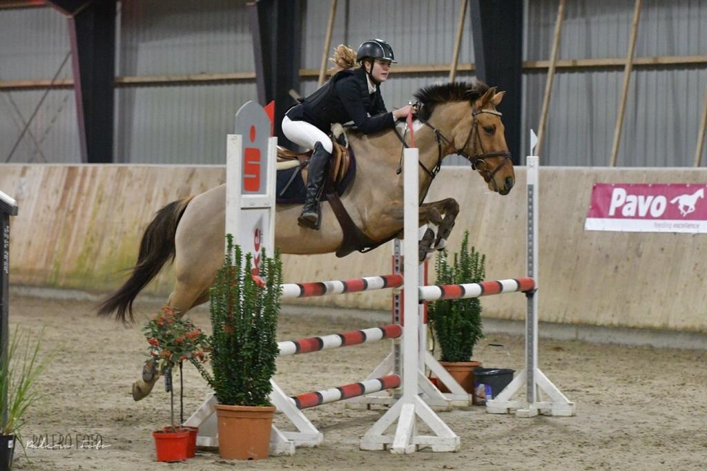 Anden særlig race Bøgelunds O'Conner billede 12