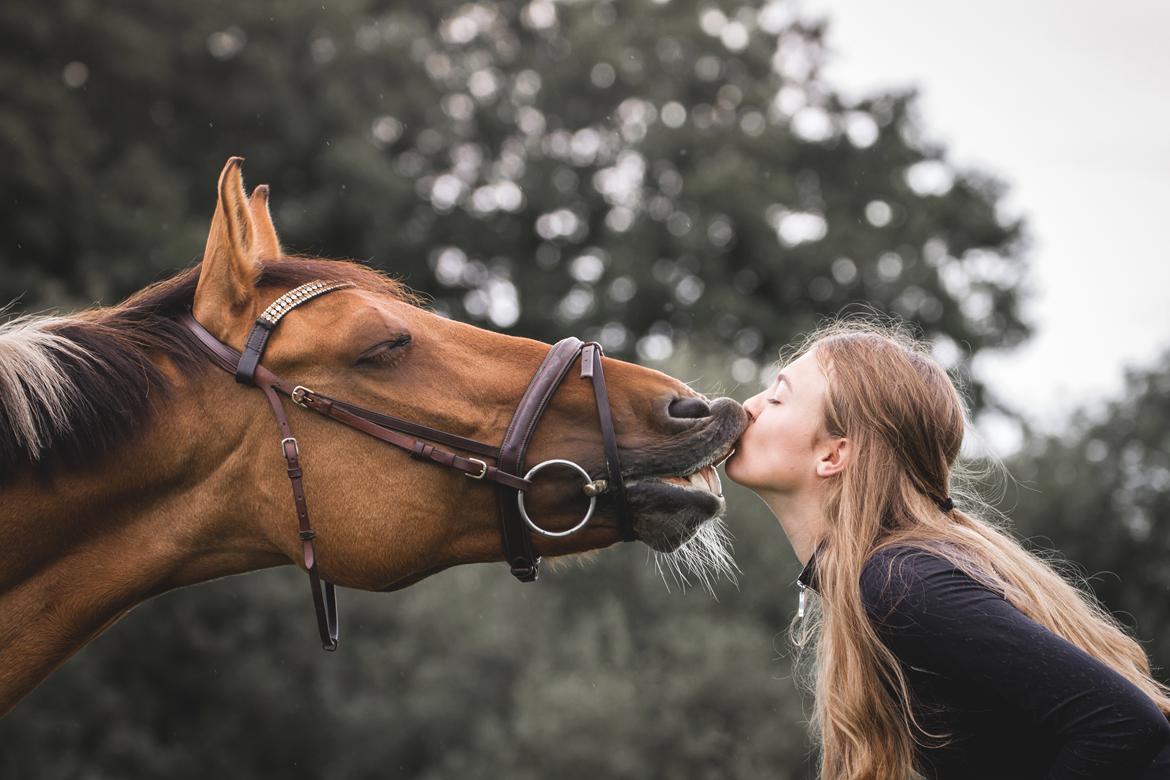 Anden særlig race Bøgelunds O'Conner billede 13