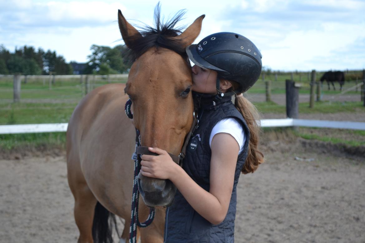 Anden særlig race Bøgelunds O'Conner billede 18