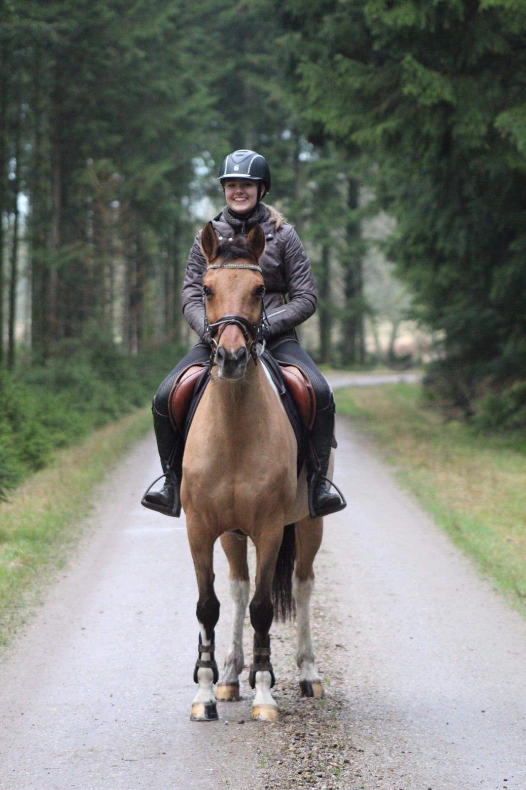 Anden særlig race Bøgelunds O'Conner billede 17