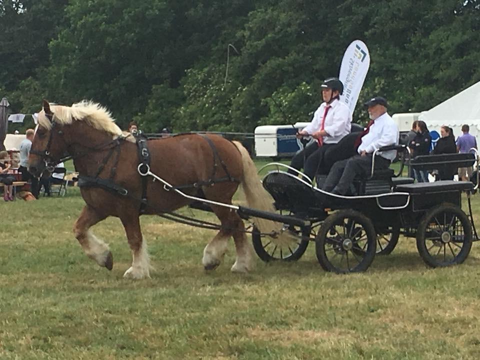 Schleswiger Ikaros billede 17