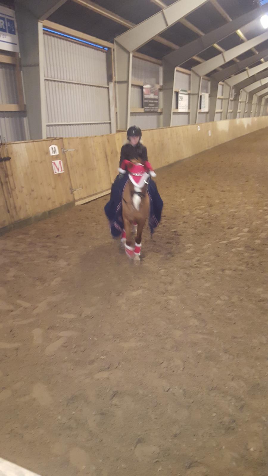 Anden særlig race Askepot billede 35