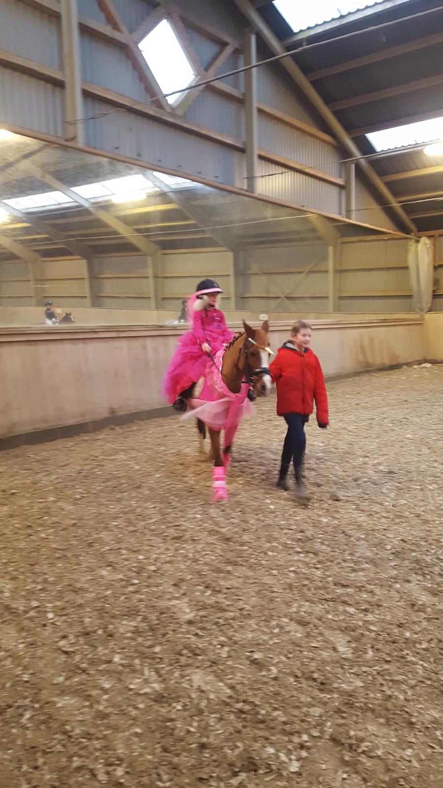 Anden særlig race Askepot billede 37