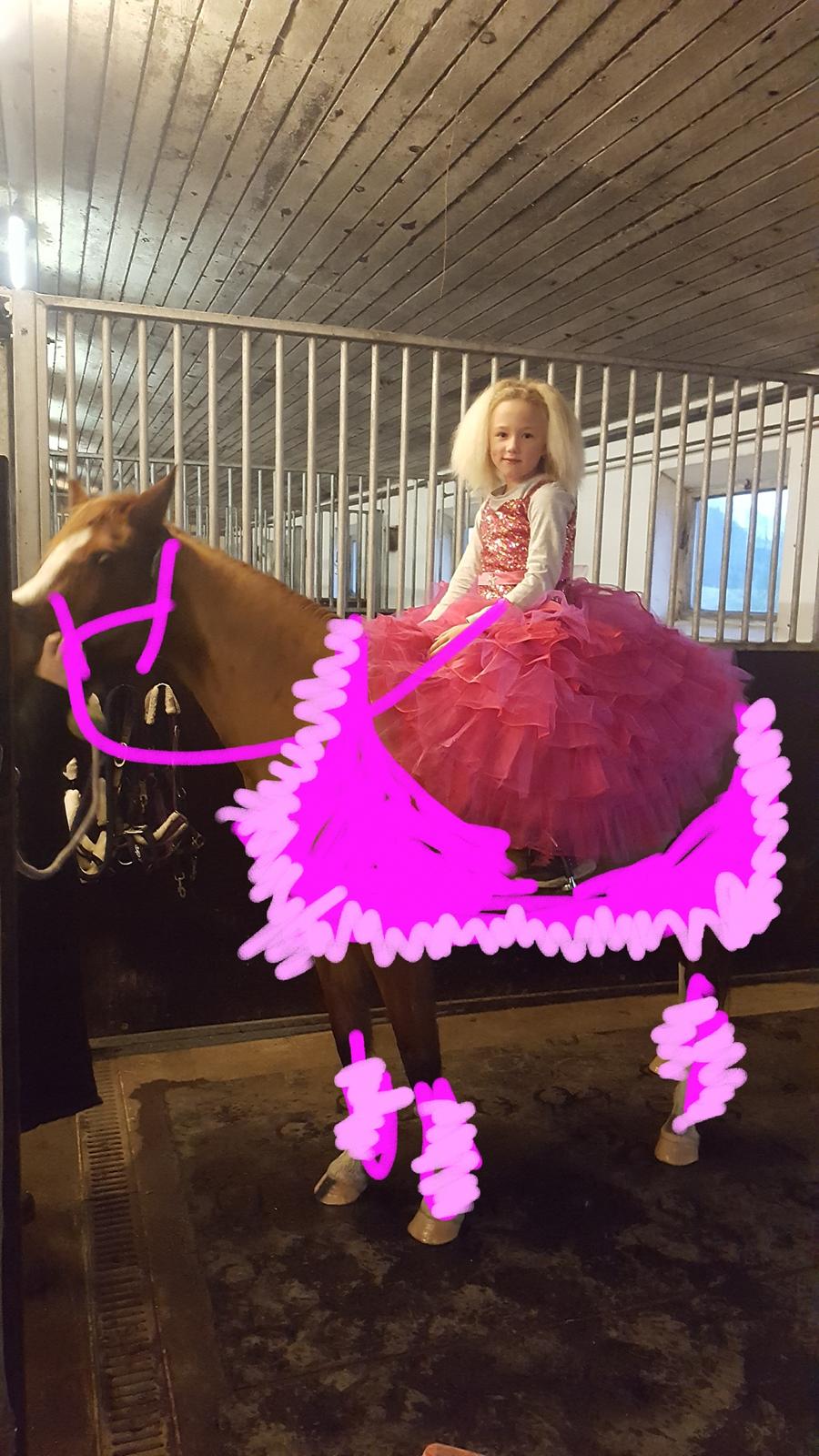 Anden særlig race Askepot billede 36