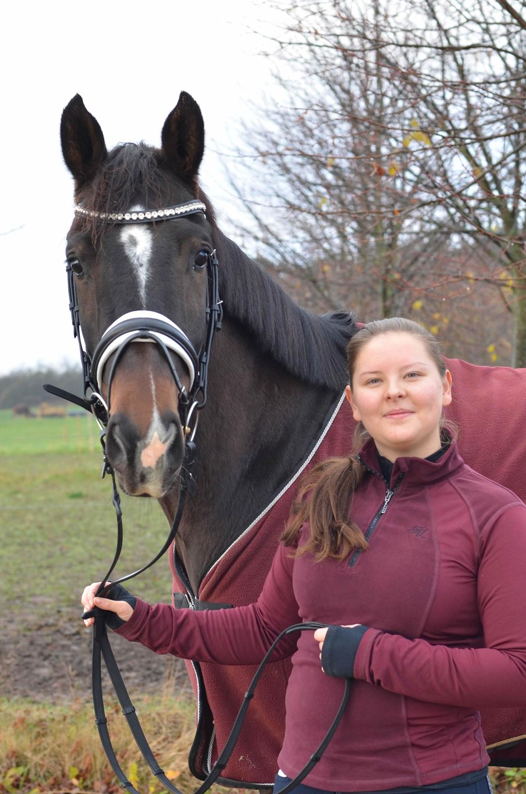 Dansk Varmblod Heras Zorell  billede 5