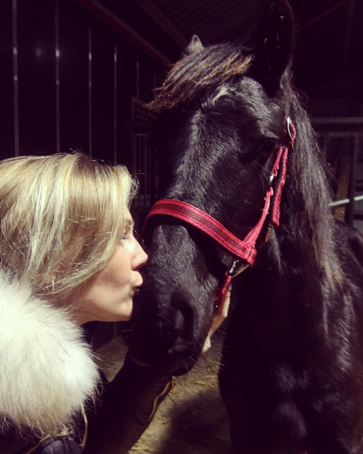 Frieser Lukas Leo af Birkely billede 14