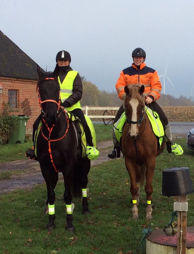 Anden særlig race Mio billede 10