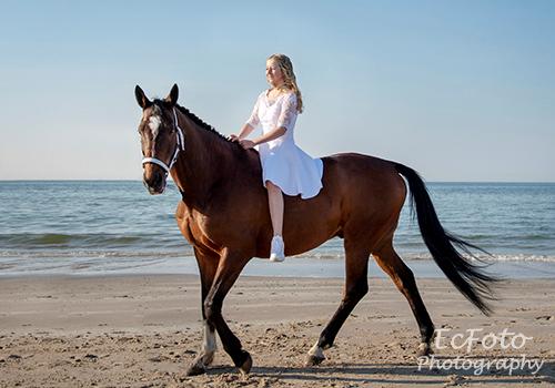 Trakehner Mølholm Eskobar  billede 3