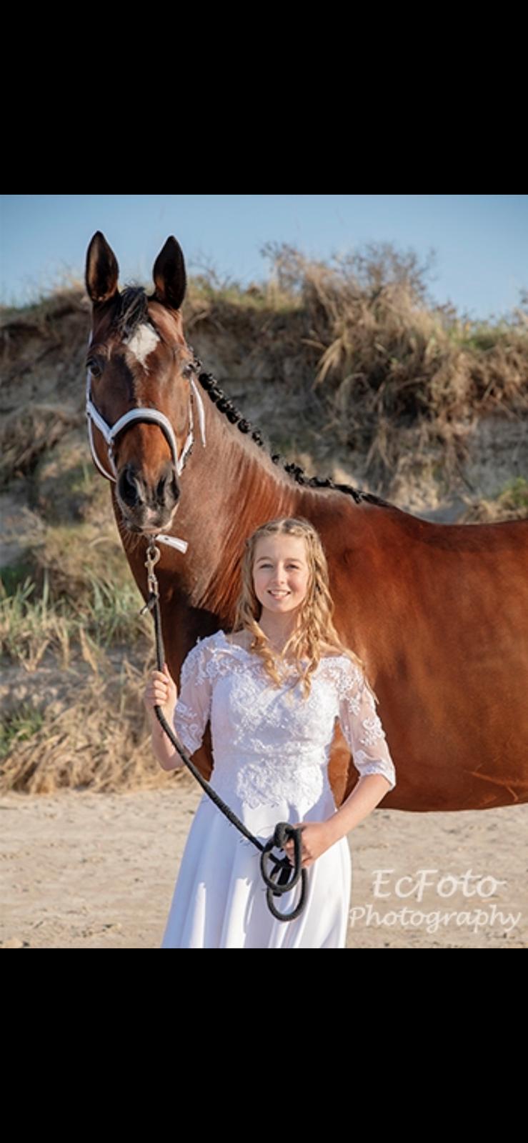 Trakehner Mølholm Eskobar  billede 6