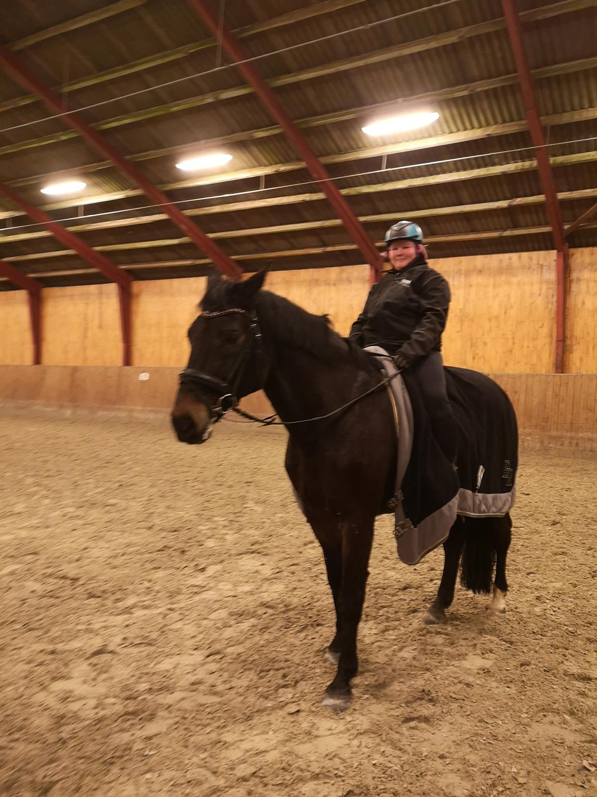 Dansk Varmblod I Ejerbækgaards Tenor billede 11