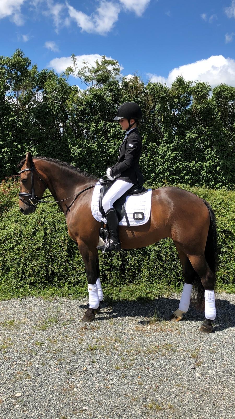 New Forest Elmholts Lisabell - Mig og Bell til vores første stævne billede 5