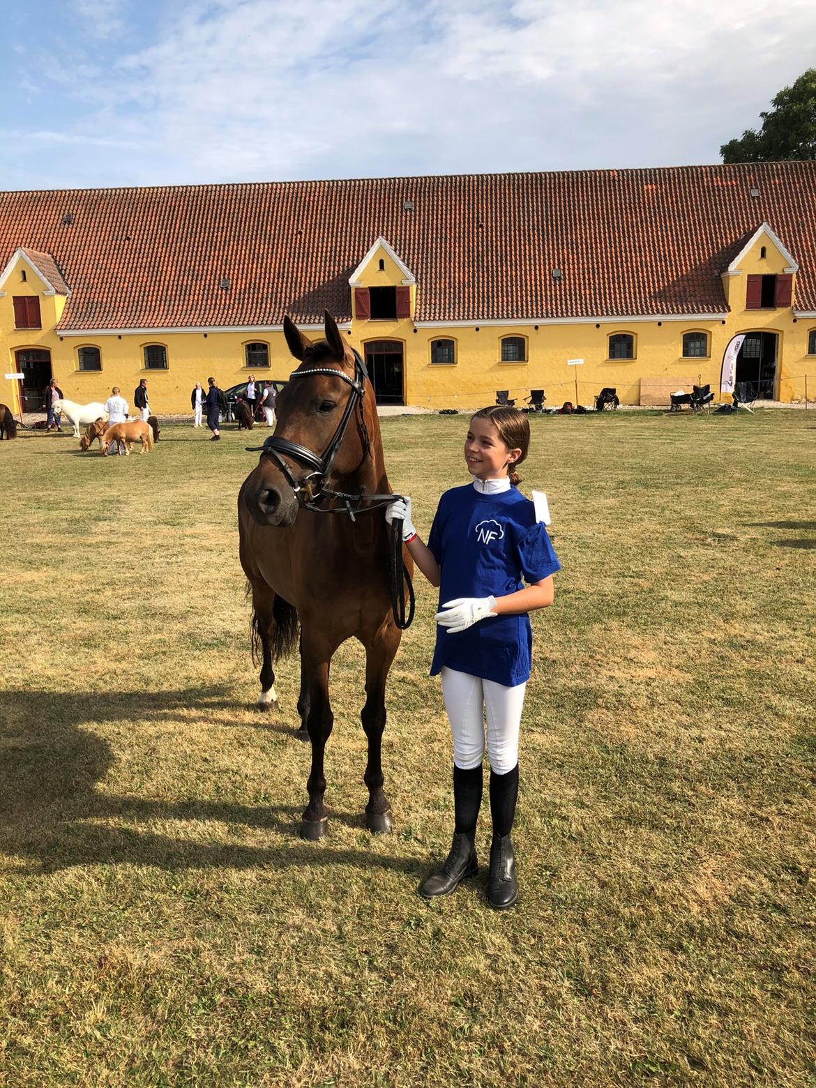 New Forest Elmholts Lisabell - Mig og Bell til vores første mønstring billede 8