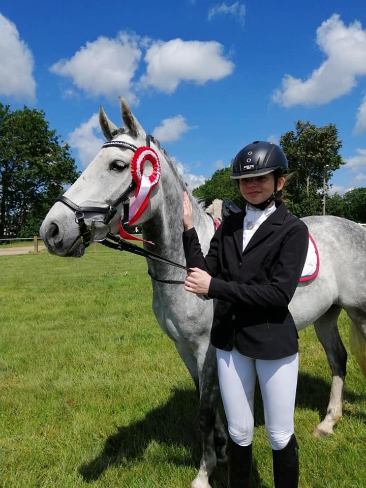 Tysk Sportspony Prince Vincent billede 9