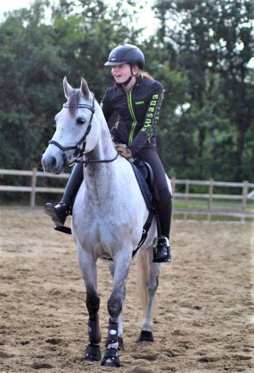 Tysk Sportspony Prince Vincent billede 10