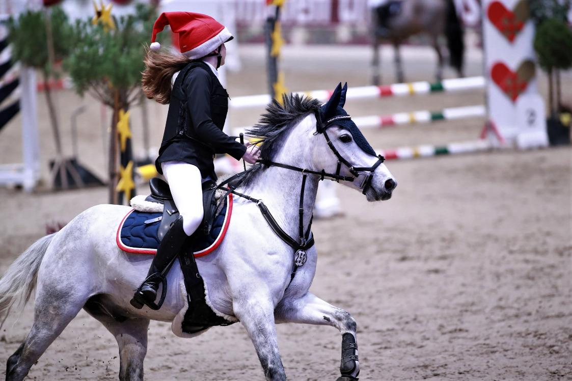 Tysk Sportspony Prince Vincent billede 4