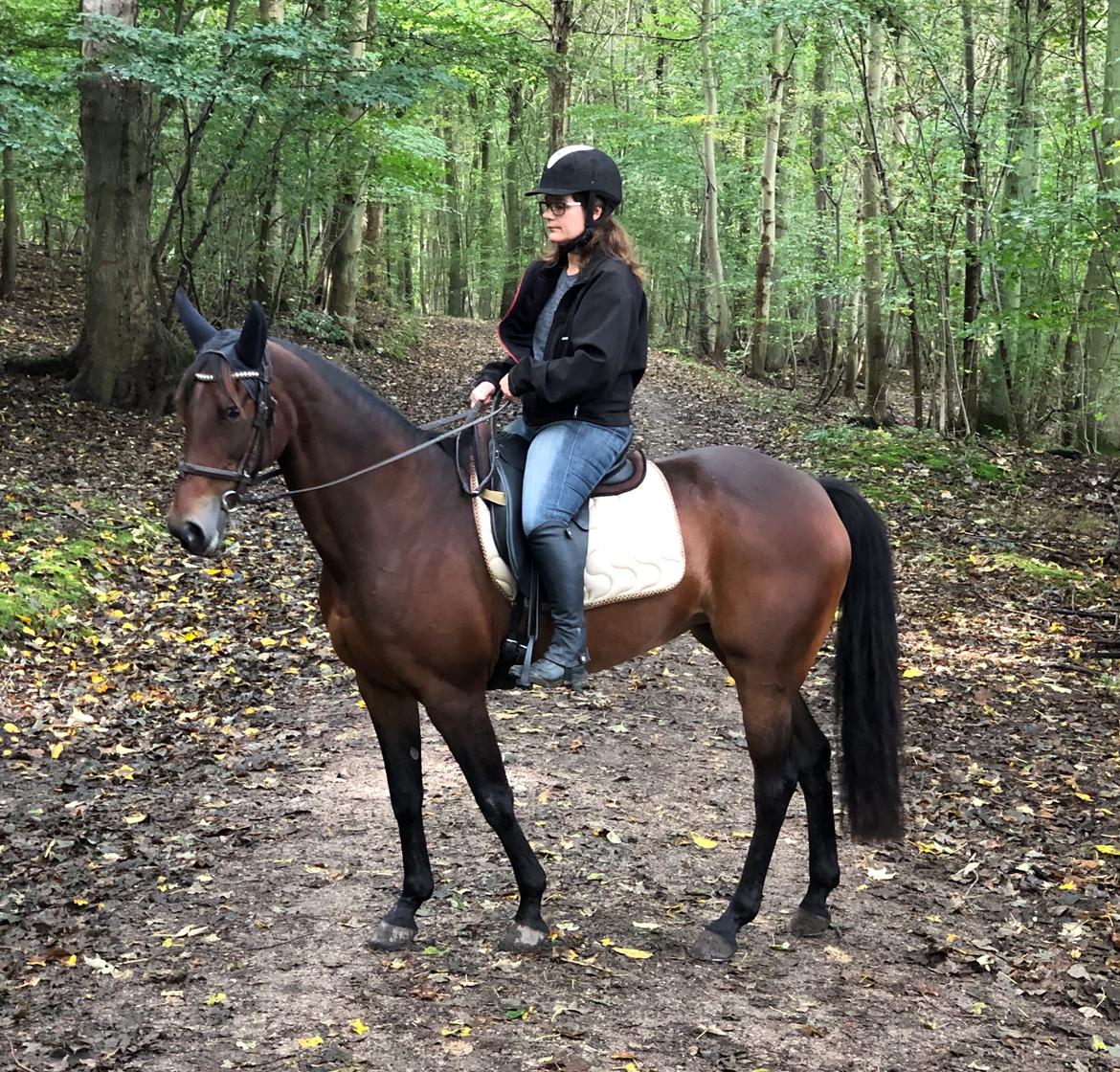 Traver Sofia Damhus billede 26