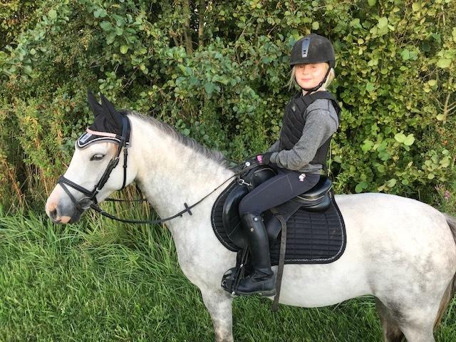 Welsh Partbred (Sec F) Holmegårdens Nutella billede 3