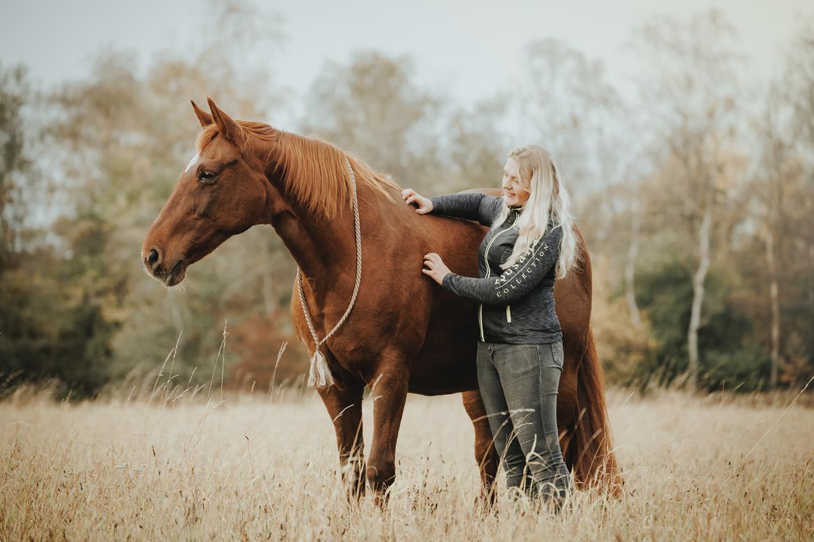 Dansk Varmblod Højbos Kia-Ora  - Velkommen til Kia's profil :) billede 1