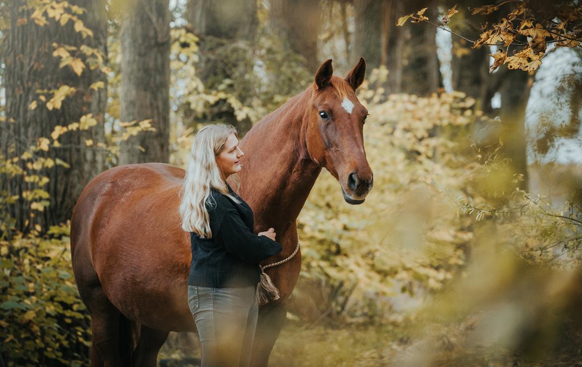 Dansk Varmblod Højbos Kia-Ora  - Altid den bedste ven <3 billede 2