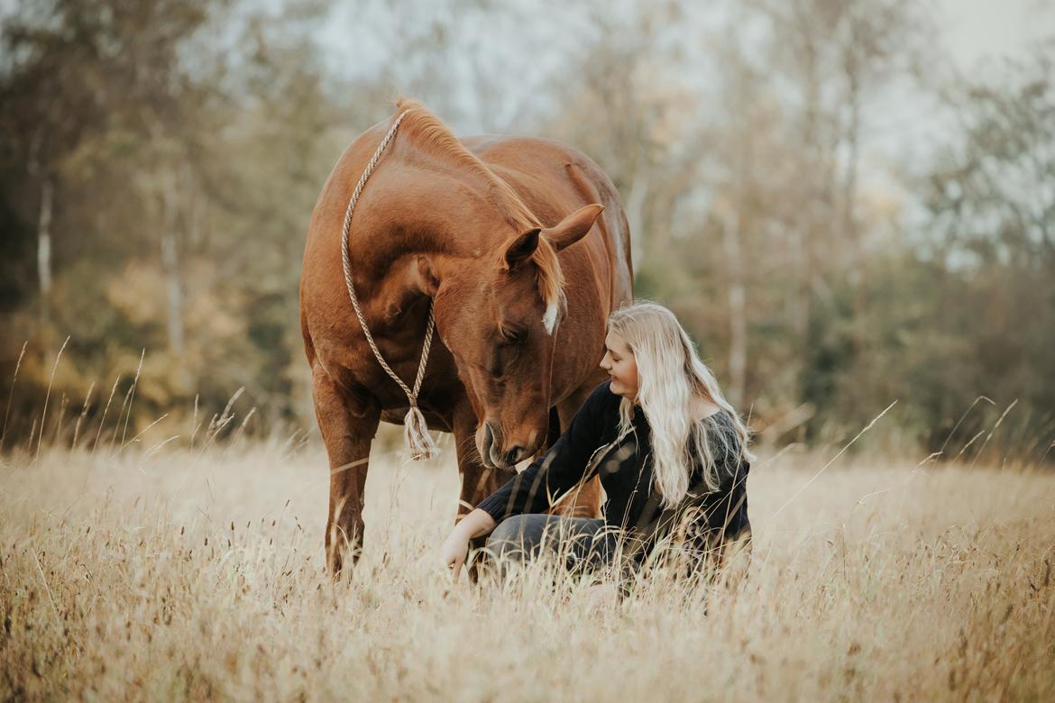 Dansk Varmblod Højbos Kia-Ora  - Det bedste vi ved, er at gå tur i cordeo, i den smukke skov :) billede 4