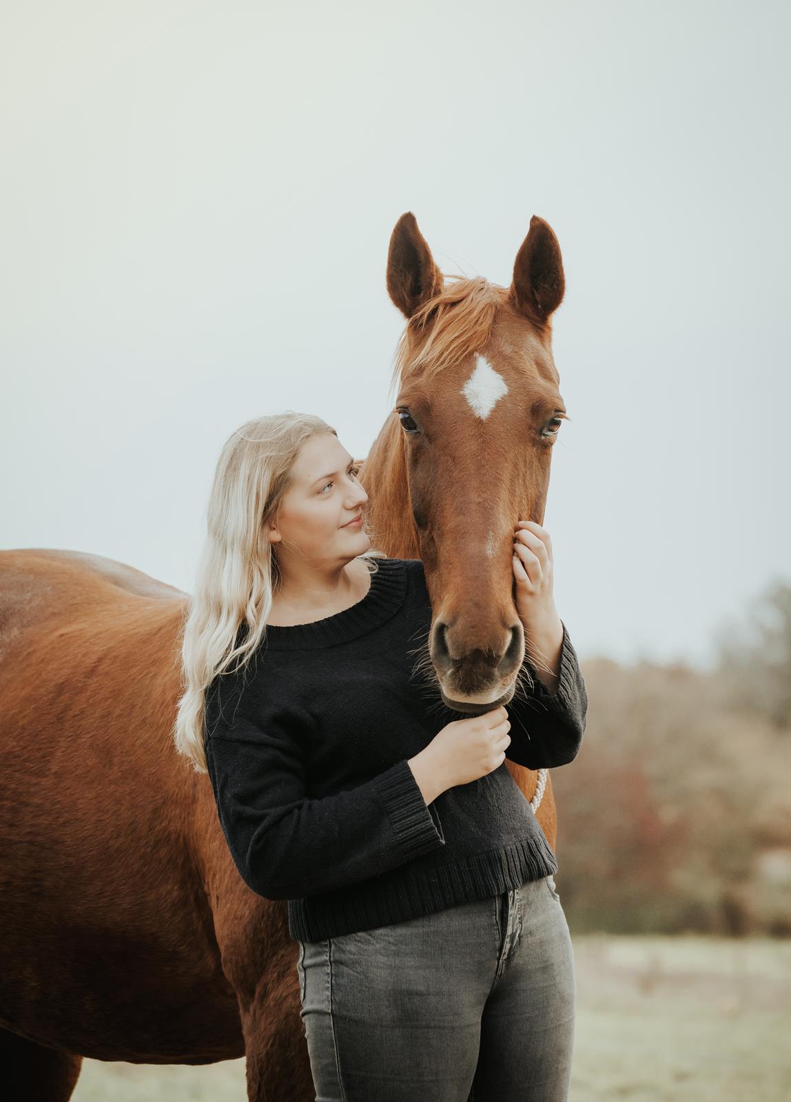 Dansk Varmblod Højbos Kia-Ora  billede 17