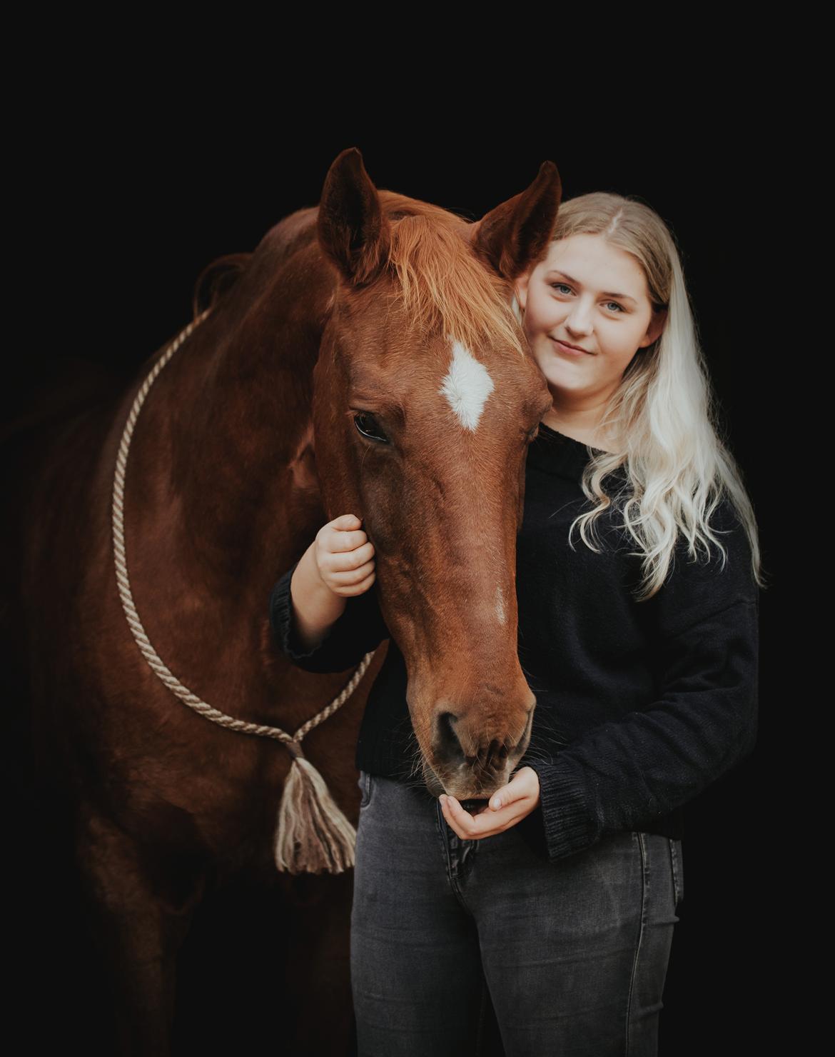 Dansk Varmblod Højbos Kia-Ora  billede 20