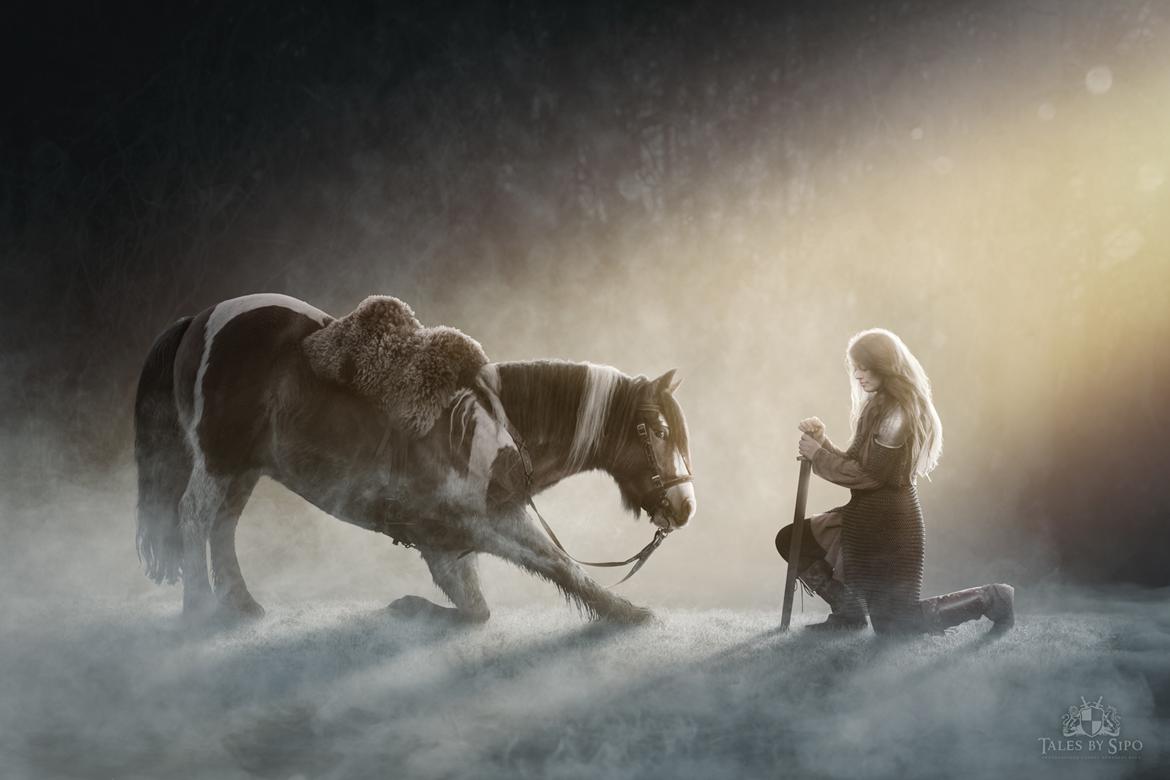 Anden særlig race Sir Louis of Gundelach billede 4