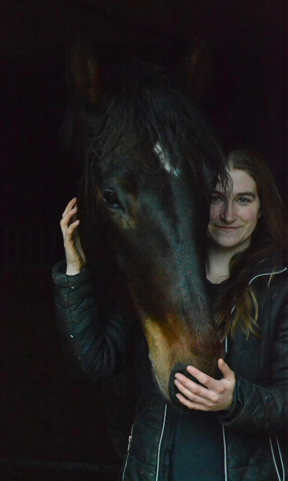 Dansk Varmblod Laetus ziva - SOLGT - D. 20/2-2020 billede 2