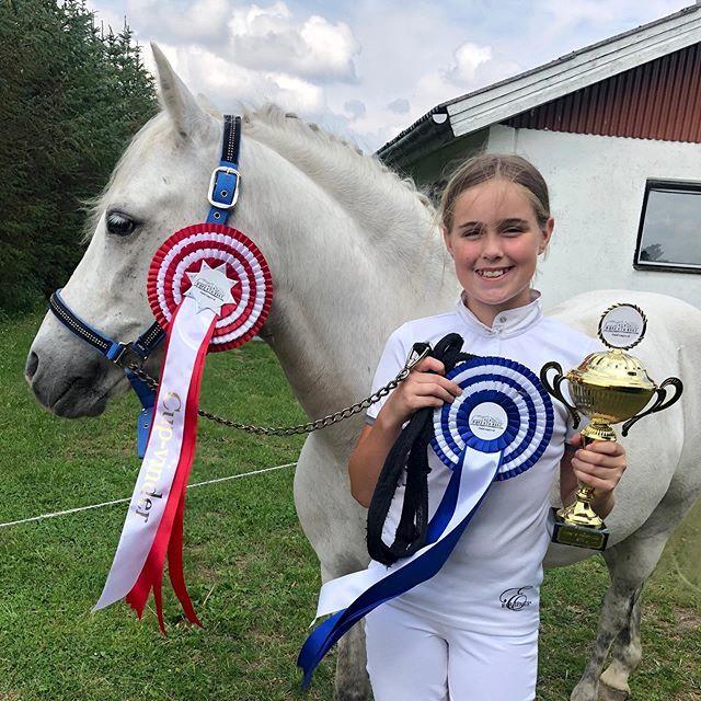 Welsh Pony (sec B) Bakkegaarden's Sputnik billede 17