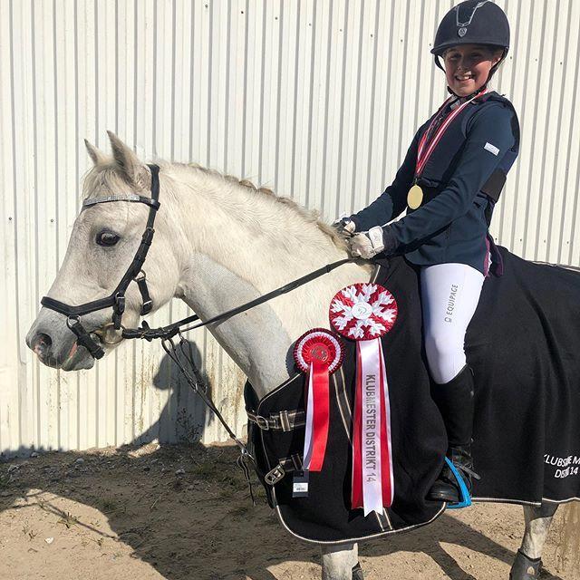 Welsh Pony (sec B) Bakkegaarden's Sputnik billede 15