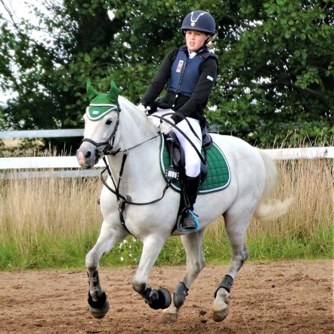 Welsh Pony (sec B) Bakkegaarden's Sputnik billede 18