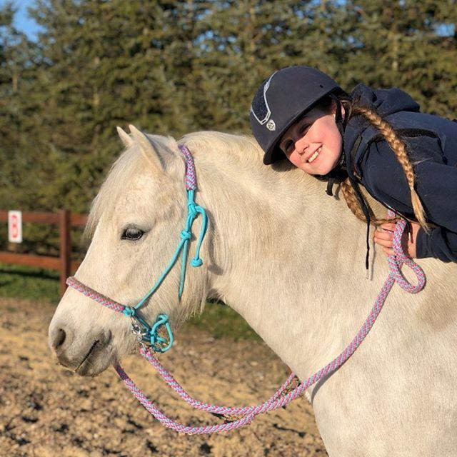 Welsh Pony (sec B) Bakkegaarden's Sputnik billede 19