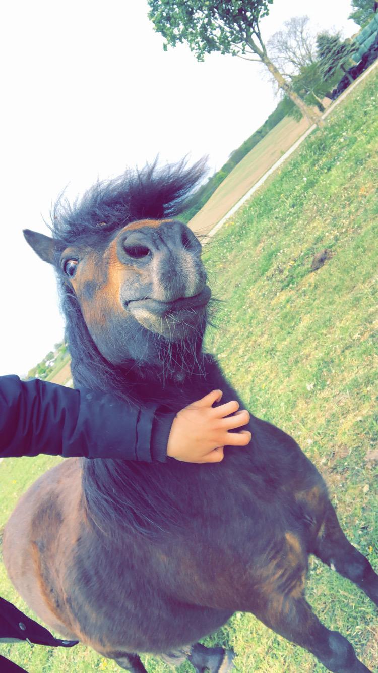 Anden særlig race Andrea billede 13