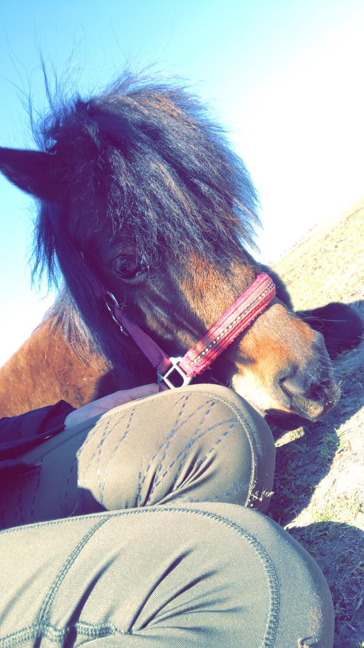 Anden særlig race Andrea billede 15