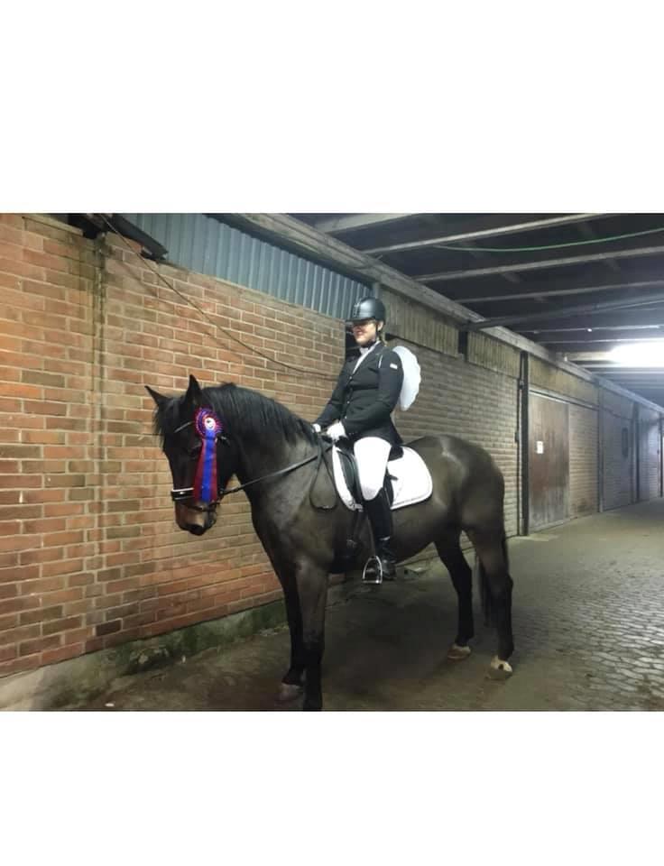 Oldenborg Zafine Macoy billede 4