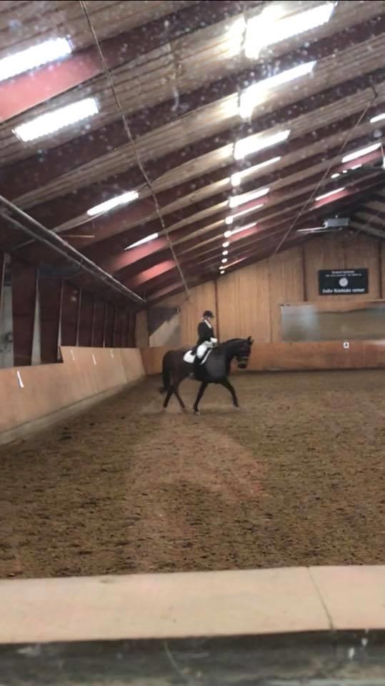 Oldenborg Zafine Macoy billede 5