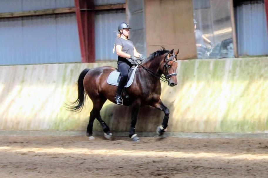 Oldenborg Zafine Macoy billede 9