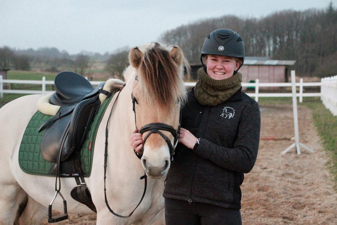 Fjordhest Lamhaves Casjo Sejr - Casjo december 2019 billede 1