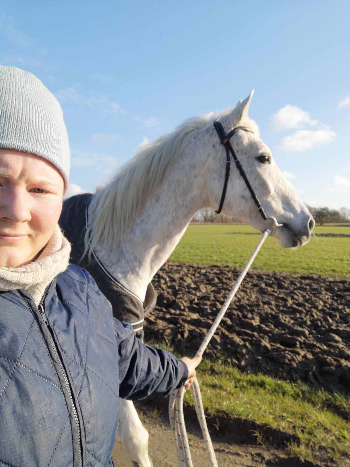 Trakehner I Bella billede 12