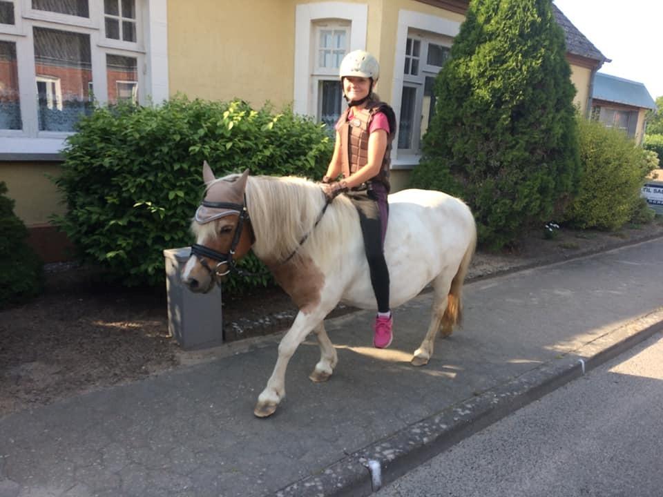 Anden særlig race Flicka billede 9