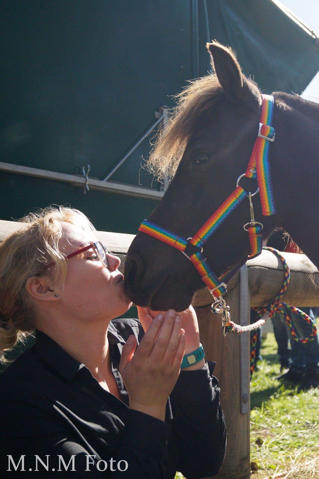 Amerikansk Miniature Lykkebos Grand Troublemaker billede 9