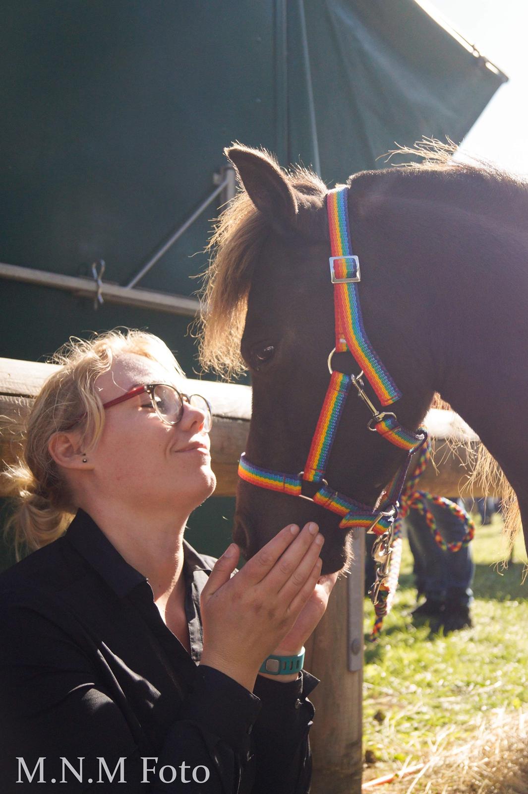 Amerikansk Miniature Lykkebos Grand Troublemaker billede 1