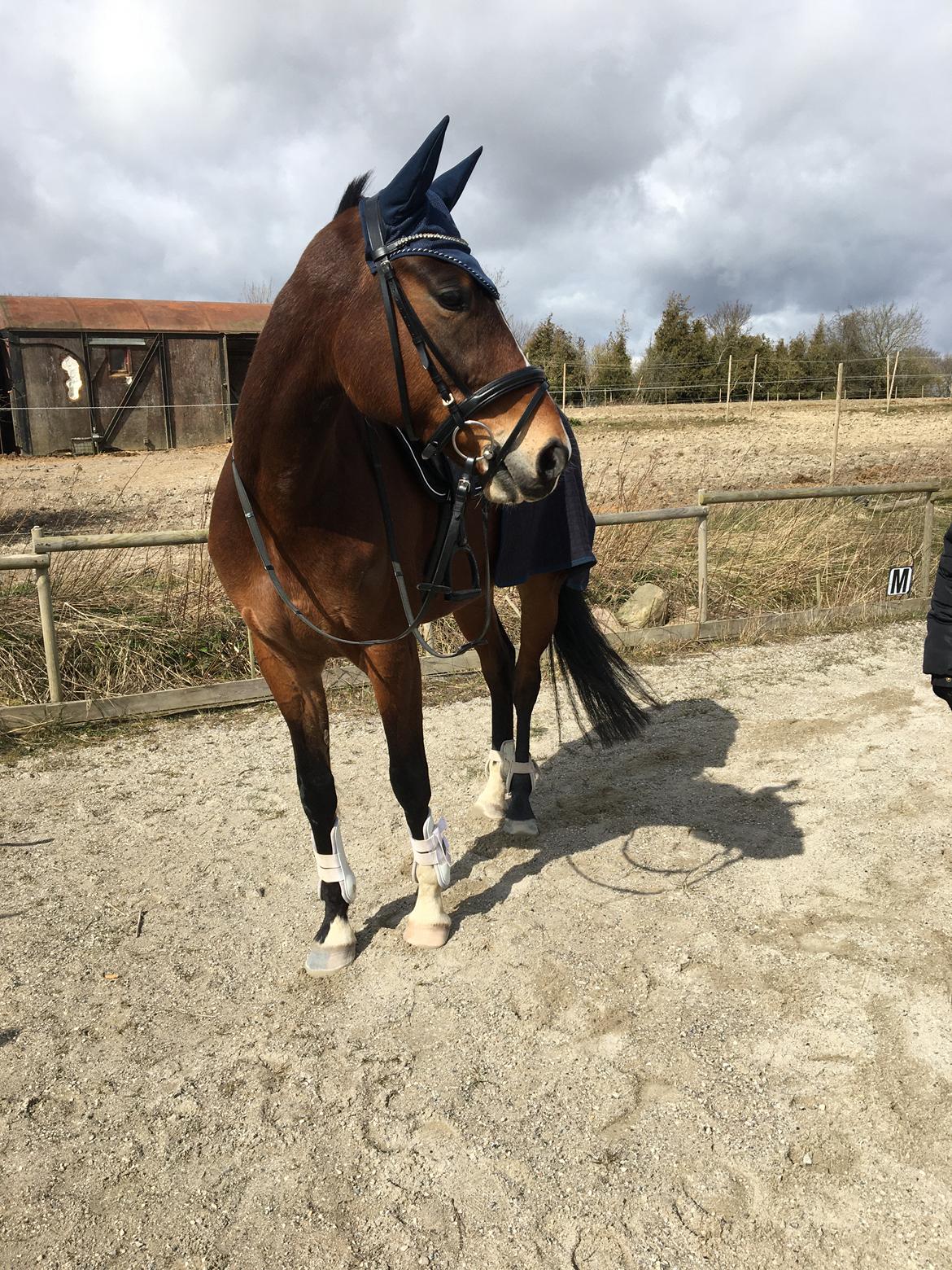 Traver Spök billede 18