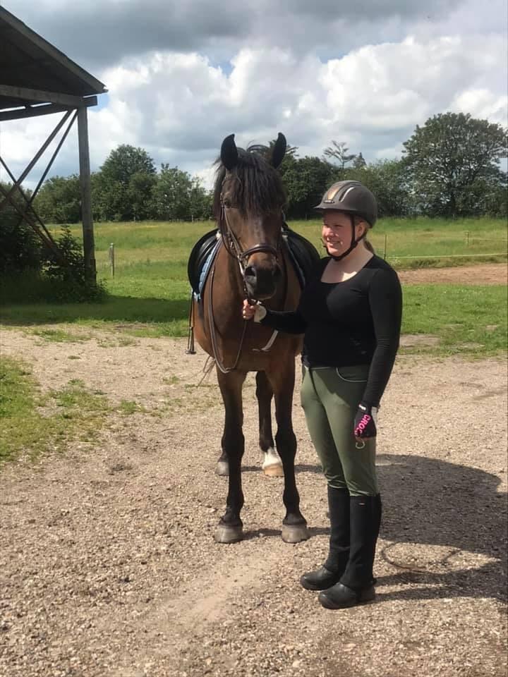 Anden særlig race Bayrunner billede 6