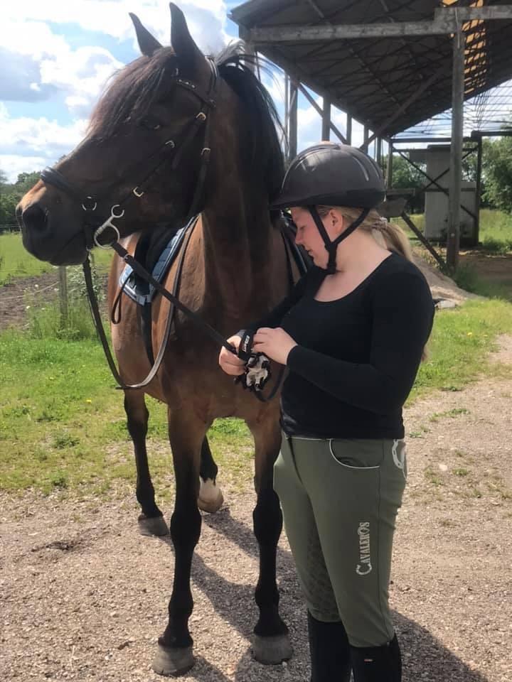 Anden særlig race Bayrunner billede 10