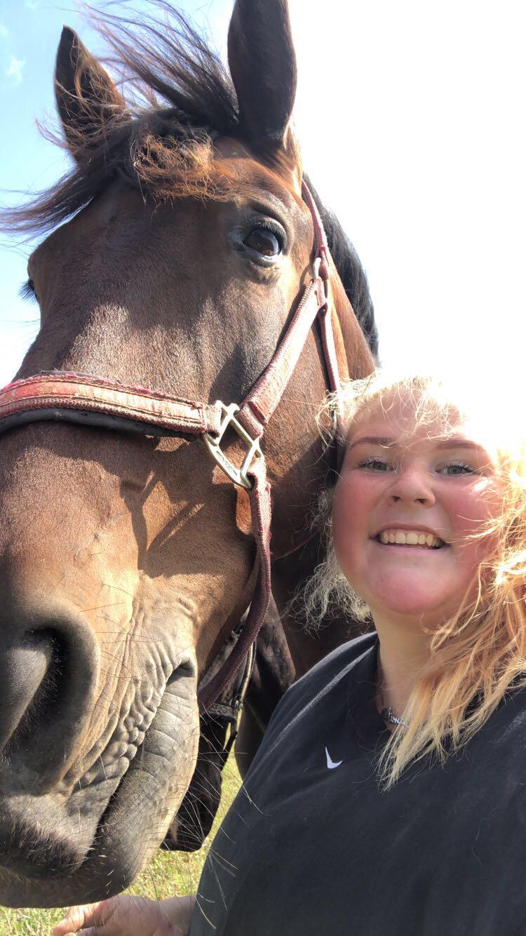 Anden særlig race Macho (Manse)  billede 7