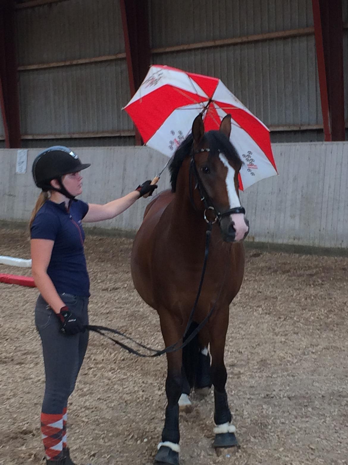 DSP Nørlunds vancouver billede 5