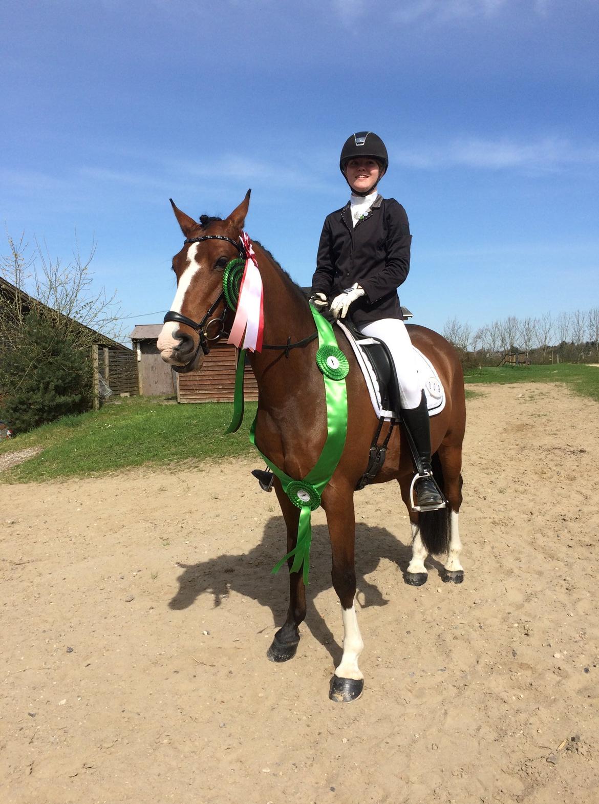 DSP Nørlunds vancouver billede 8