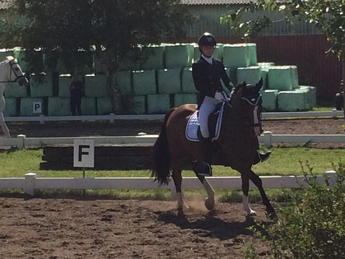 DSP Nørlunds vancouver billede 9