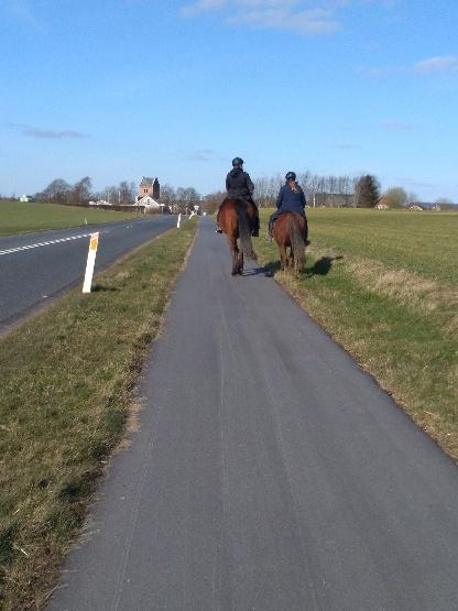 Anden særlig race Freestyle R.I.P. billede 15